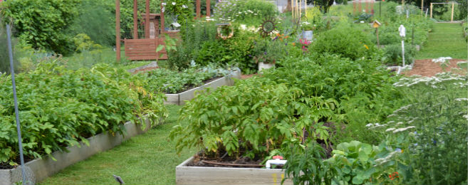 Gateway Greening Demonstration Garden